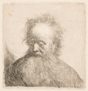 Buste af en ældre mand med et langt skæg: hovedet næsten oprejst: blikket vendt nedad: kigger let mod venstre af Rembrandt van Rijn