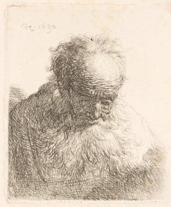 Buste af en gammel mand med et langt skæg: hovedet bøjet fremad: venstre skulder er ikke skyggefuld af Rembrandt van Rijn