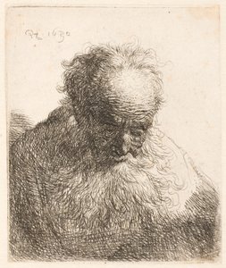 Buste af en gammel mand med et langt skæg: hovedet bøjet fremad: venstre skulder er ikke skyggefuld af Rembrandt van Rijn