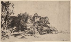 En gruppe træer med en udsigt af Rembrandt van Rijn