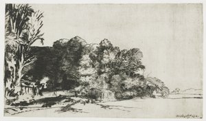 Træklump med udsigt af Rembrandt van Rijn