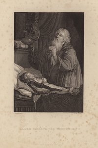 Elias opdrager enkens søn af Rembrandt van Rijn