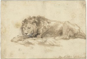 Liggende løve (Liggende leeuw). 1650-59 af Rembrandt van Rijn