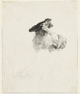 En gammel mand, der skygger for øjnene med hånden af Rembrandt van Rijn