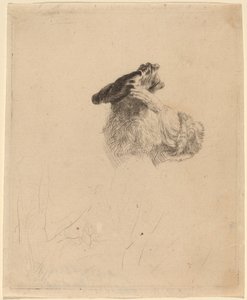 Gammel mand, der skygger for øjnene med sin hånd af Rembrandt van Rijn