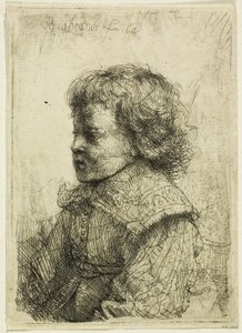 Portræt af en dreng af Rembrandt van Rijn