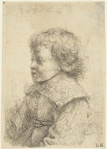 Portræt af en dreng af Rembrandt van Rijn