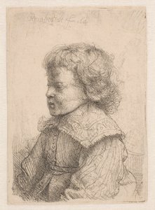 Portræt af en dreng, set i profil af Rembrandt van Rijn