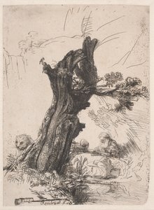 S. Jerome ved siden af en stammekappet pil af Rembrandt van Rijn