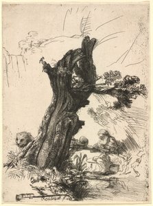 Saint Jerome ved siden af en Pollard Willow af Rembrandt van Rijn