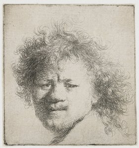 Selvportræt med langt busket hår: kun hoved af Rembrandt van Rijn
