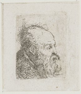 Ark med studier af mænds hoveder: gammel, skægget mand, næsten set i profil mod højre: munden halvt åben af Rembrandt van Rijn