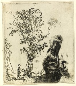 Ark med to studier: Et træ og den øverste del af kunstnerens hoved iført fløjlskasket af Rembrandt van Rijn
