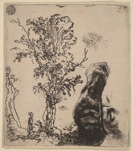 Tegning med to studier: et træ og den øverste del af kunstnerens hoved iført en fløjlshue af Rembrandt van Rijn