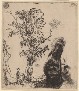 Ark med to studier: et træ og den øverste del af et hoved af kunstneren iført fløjlskasket af Rembrandt van Rijn