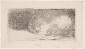 Sovende hvalp af Rembrandt van Rijn