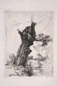Den hellige Hieronymus, der skriver ved en piletræstamme af Rembrandt van Rijn