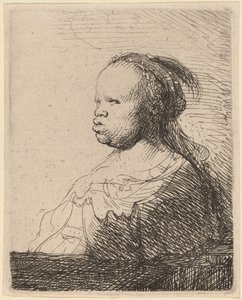Den hvide neger af Rembrandt van Rijn