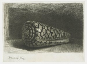 Skallen af Rembrandt van Rijn