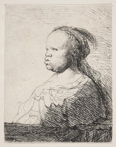 Den hvide sorte af Rembrandt van Rijn