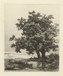 To ege på en sø af Remigius Adrianus Haanen