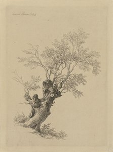 piletræ af Remigius Adrianus Haanen