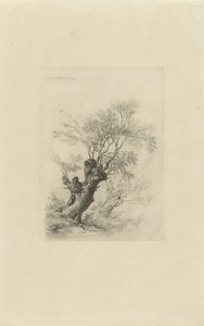 piletræ af Remigius Adrianus Haanen