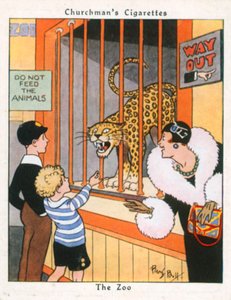 The Zoo (farvelitografi)