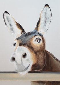 Fræk æsel