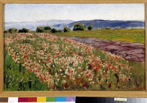 Valmuefeltet (maleri) af Rene Auguste Seyssaud
