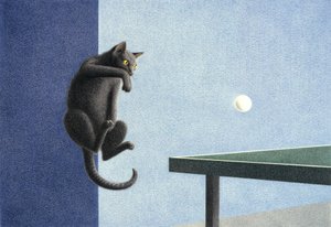 Bordtennis af Rene Boin