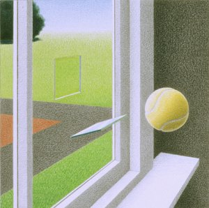 Vindue af Rene Boin