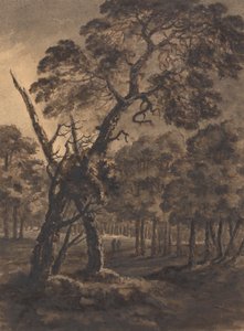 Skovscene af Rev. William Gilpin
