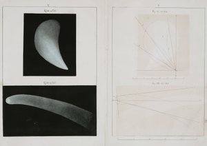 Halleys komet, oktober 1835 af John Pardon