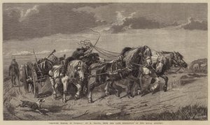 Tegning af tømmer i Picardie af Richard Beavis