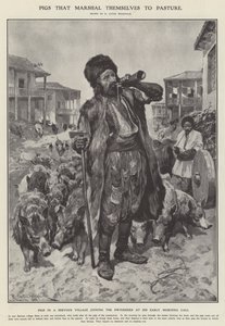 Grise, der går på græs (litho) af Richard Caton II (after) Woodville