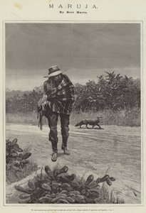 Maruja, af Bret Harte