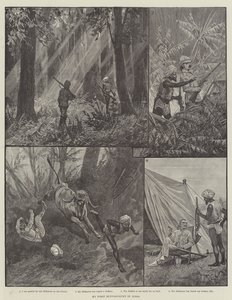 Min første bøffeljagt i Indien