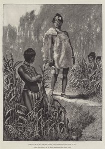 Liljen Nada, af H Rider Haggard af Richard Caton Woodville junior