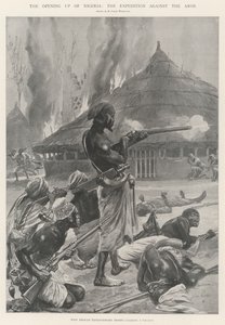 Åbningen af Nigeria, Ekspeditionen mod Aros