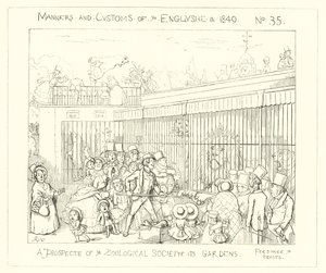 1849, En udsigt over Zoological Societys Gardens af Richard Doyle