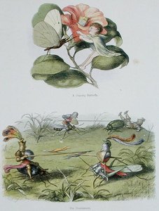 A Dancing Butterfly, and The Tournament, illustrationer fra 