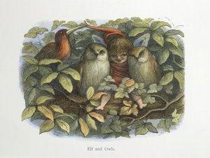 Alf og ugler af Richard Doyle