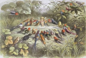 Musikøvelse i eventyrland (illustration fra "In fairy land. Pictures from the fairy world", af William Allingham og Andrew Lang