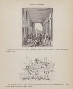 Side fra The American Tour of Mrs Brown, Jones and Robinson (gravering) af Richard Doyle