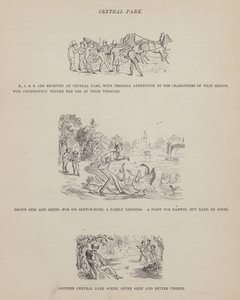 Side fra The American Tour of Mrs Brown, Jones and Robinson (gravering) af Richard Doyle