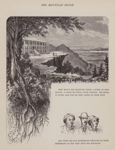 Side fra The American Tour of Mrs Brown, Jones and Robinson (gravering) af Richard Doyle