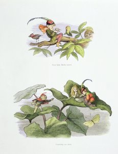 Stakkels lille Birdie drillede, og frieri blev afkortet, illustrationer fra 