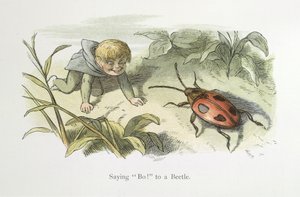 At sige nej! til en bille af Richard Doyle