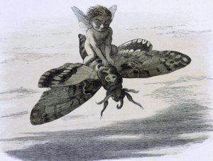 En elfe chevauchant og papillon. Illustration af Richard Doyle dæk af ""In Fairy land. En serie billeder fra alf - verden"" accompagnee d